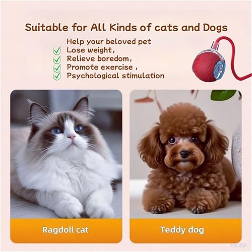 Miniatura 8 de Pelota interactiva de juguete para gatos de interior y perro, bola inteligente de 360 con ruedas automáticas para mascotas con plumas de reemplazo,