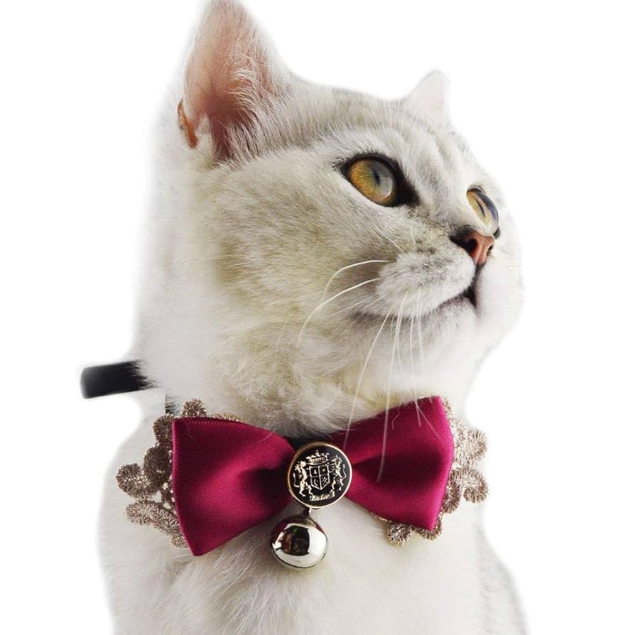 シングルリボン、フラワー柄(ブラック)わんちゃん猫ちゃん用首輪 cincshop_cinc-y-1676