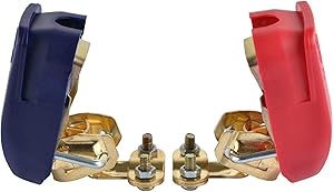 Morsetti e cablaggi batterie per veicoli thumbnail classifica