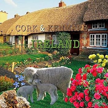 Paperback Cork & Kenmare, IRELAND Book