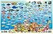 Virgin Islands Map & Coral Reef Creatures Guide Franko Maps Laminated Fish Card
