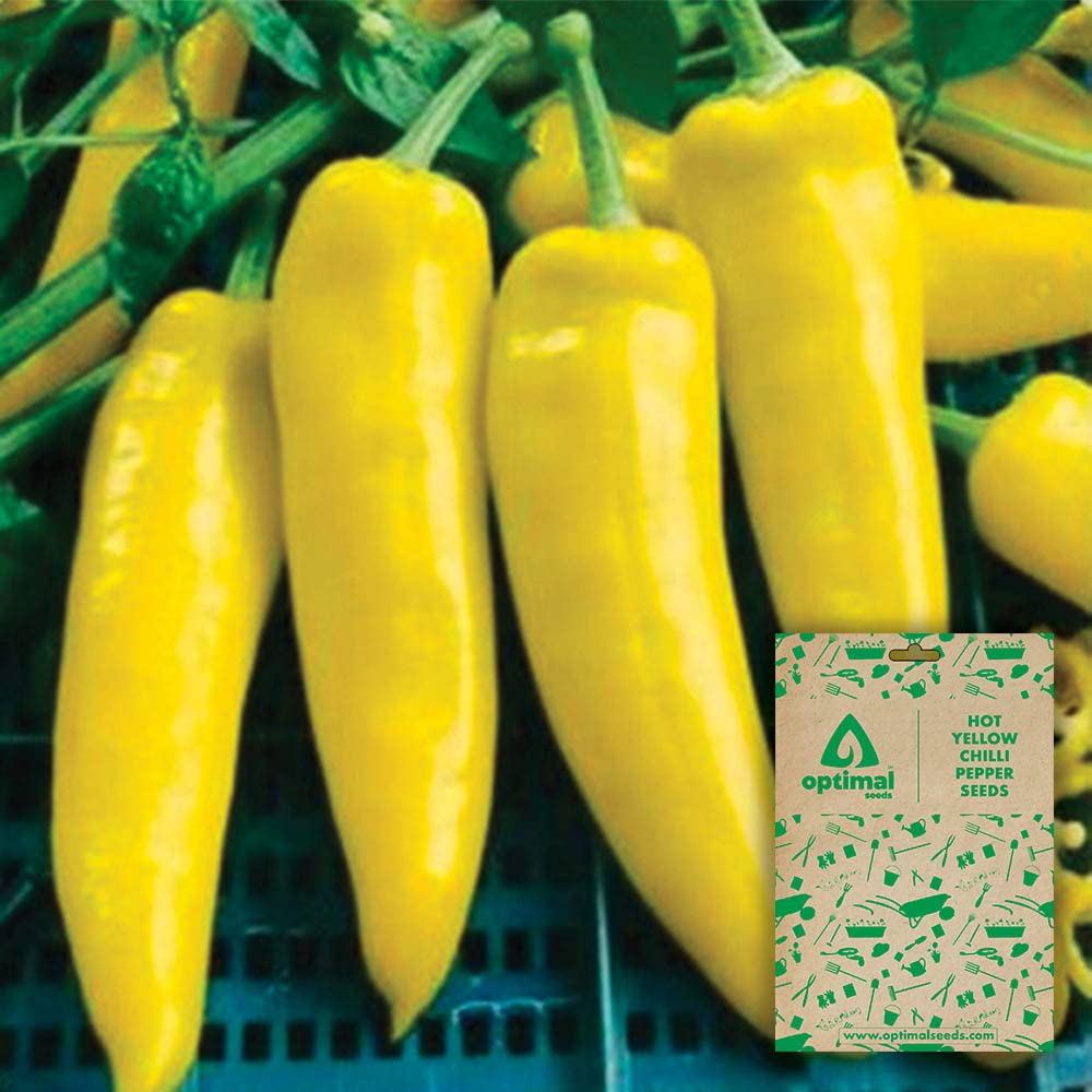 Optimal Seeds Hot Yellow Chilli Pepper Vegetable Seeds (B0B5ZLPZPH) Amazon Price History, Amazon Price Tracker
