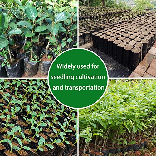 Belit 100 Pcs Plant Nursery Bags, Plastic Seedling Pots Container For Fruit Tree, Flower, Starting Saplings, Plant Grow thumb #5