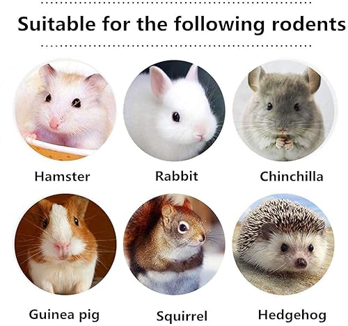 Miniatura 8 de Dbeans Flourithing 5.29 oz 3 tipos de juguetes masticables combinados palos molares dulce bambú rama de manzana Timothy hierba para mascotas