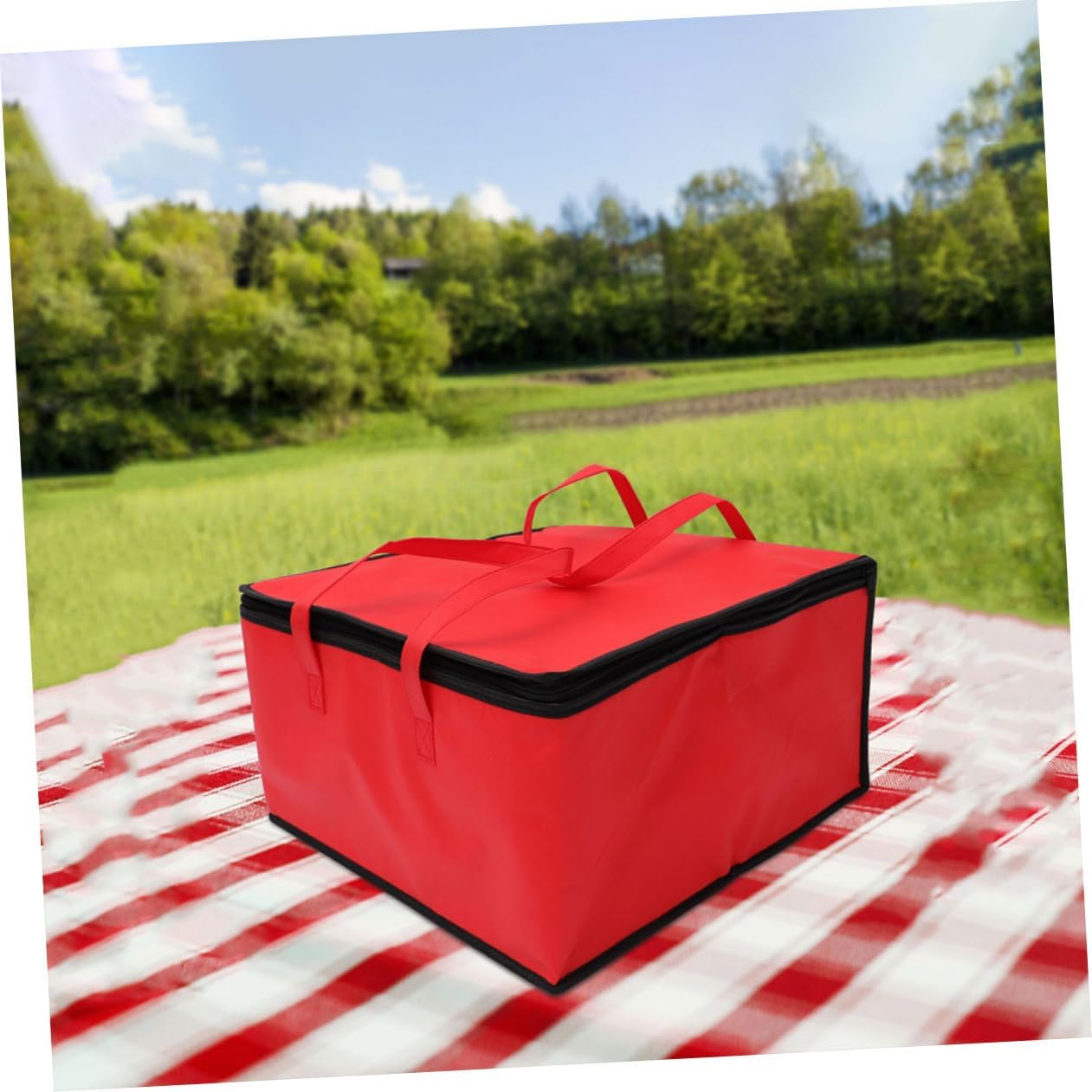 Gatuida Large Capacity Insulated Food Bag Aluminum Liner Non-Woven Cloth Thermal Takeout Bag for Pizza Seafood and Cakes Portable Grocery Shopping Carrier