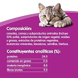 Ver la foto 4