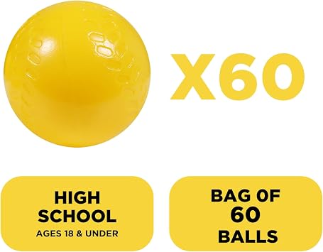 Furlihong 692BH Baseball Machine and Training Balls Bundle