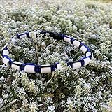 Pfoetchen-Welt Premium EM-Keramik Hundehalsband. Jetzt auch mit Namen. Menge an EM-Keramik wählbar. Infotelefon 017682042883