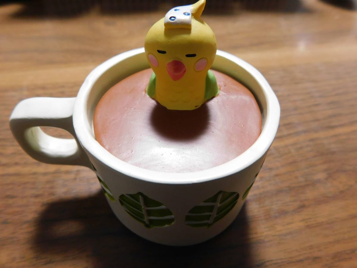 Amazon.co.jp: DECOLE concombre カップ風呂 小物いれ インコ