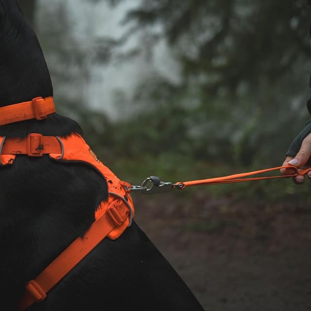 Foto 4 de 8 de RUFFWEAR Correa de Perro, Front Range Leash, Ligera y Duradera