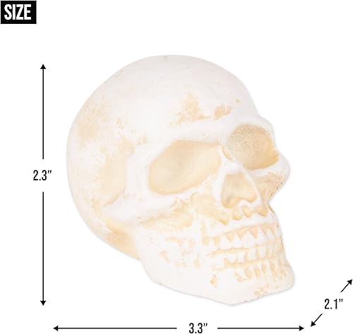 Miniatura 3 de Cráneo humano de hierro fundido pisapapeles calavera