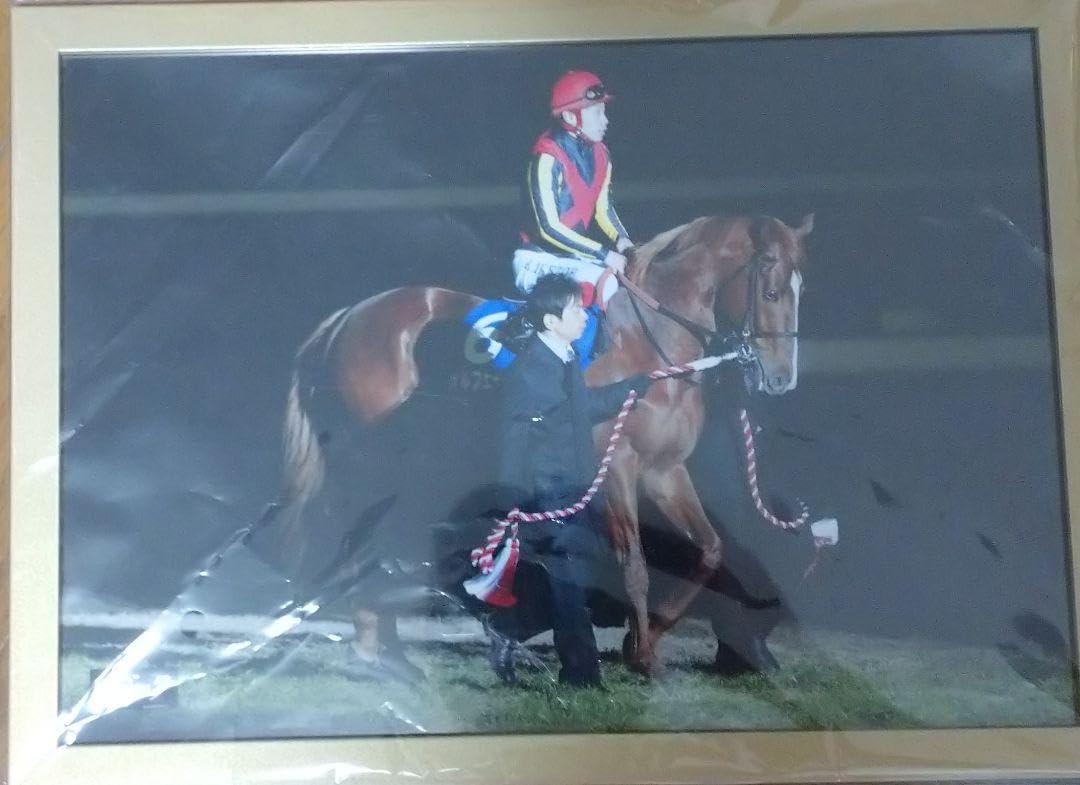 Amazon.co.jp: オルフェーヴル 競馬 特大フォトパネルと式フォトセット  