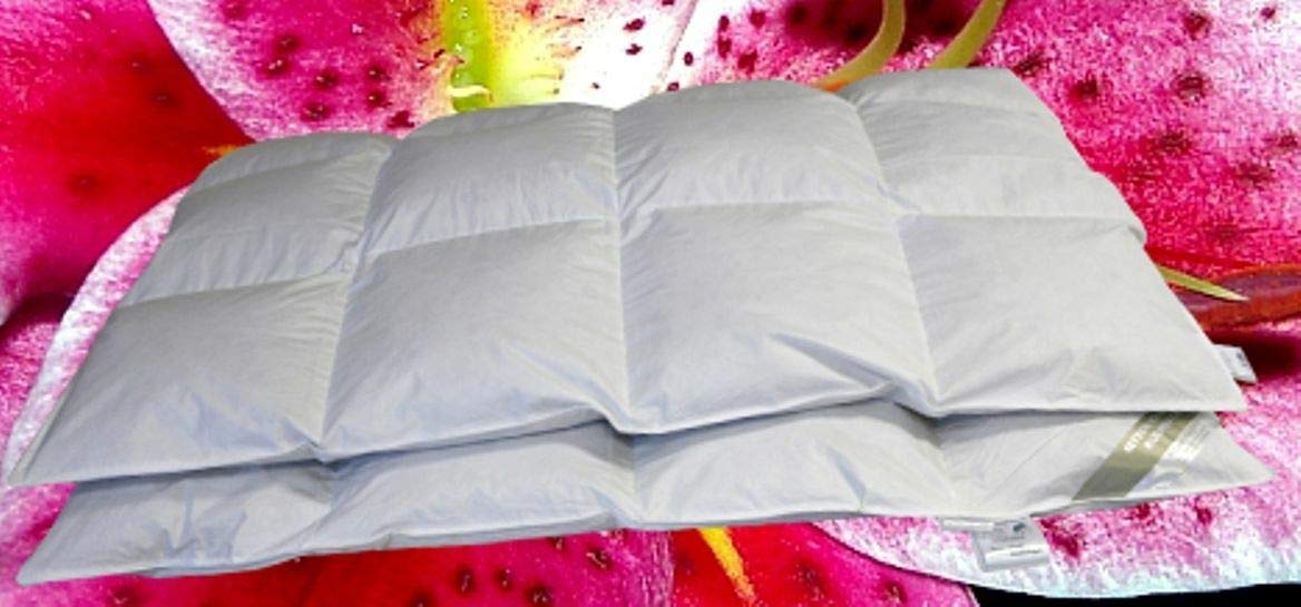 Hofmann Canada Ganzjahres Daunendecke Daunenbett 4x6 135x200 1000g 100% Daunen