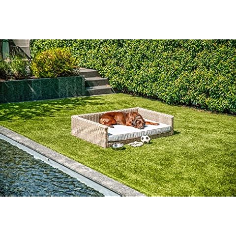 Greemotion Hundebett aus Polyrattan inklusive Kissen Cover