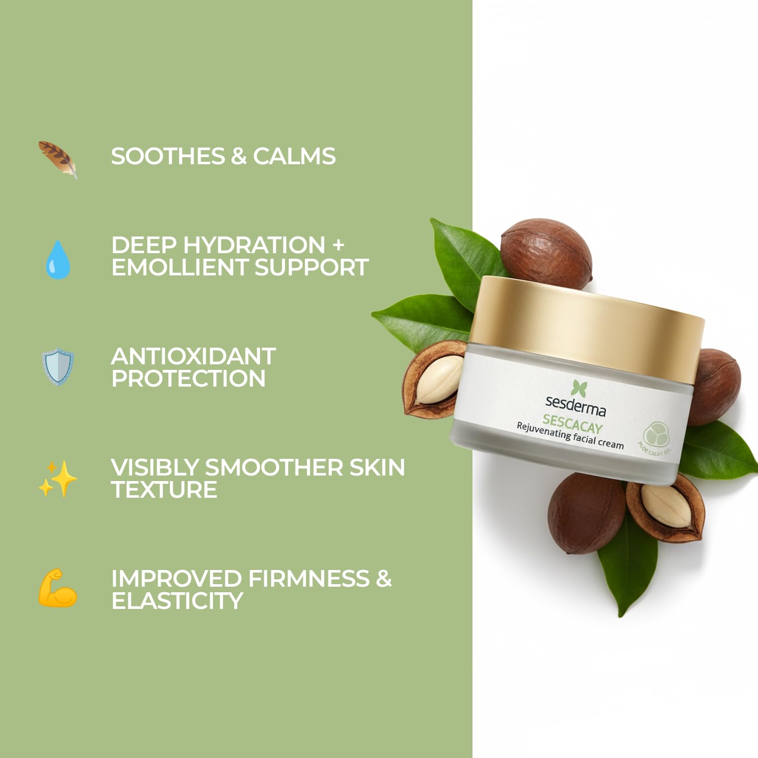 Sesderma SESCACAY Rejuvenating Facial Cream, Anti-Aging Treatment with Cacay Oil and HP Retinoate, for All Skin Types, Premium Beauty, 1.7 Fl Oz - Image 3