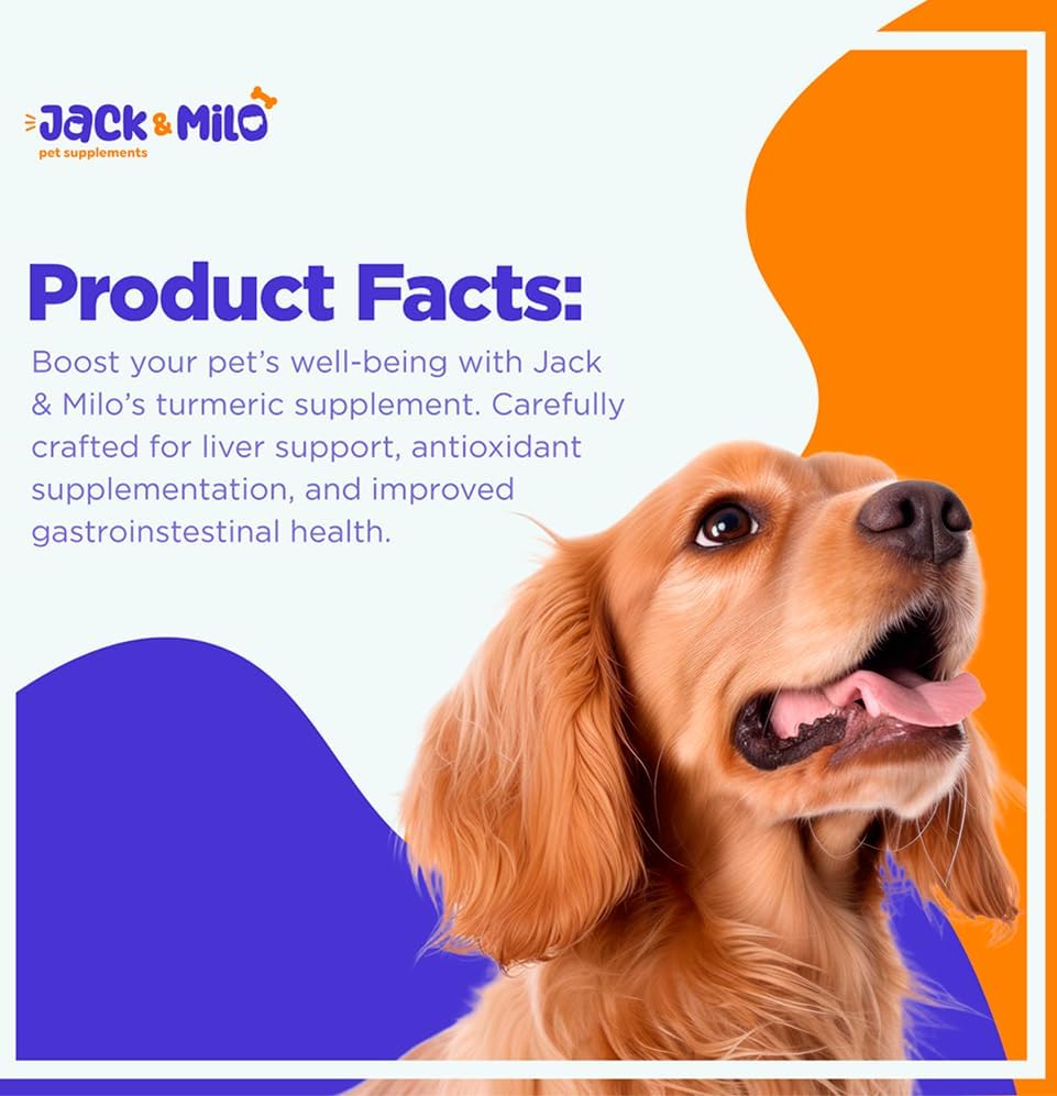 Miniatura 9 de Jack & Milo Cúrcuma para perros, suplemento antiinflamatorio, de cadera y articulaciones, alivio del dolor de artritis del perro, apoyo para la