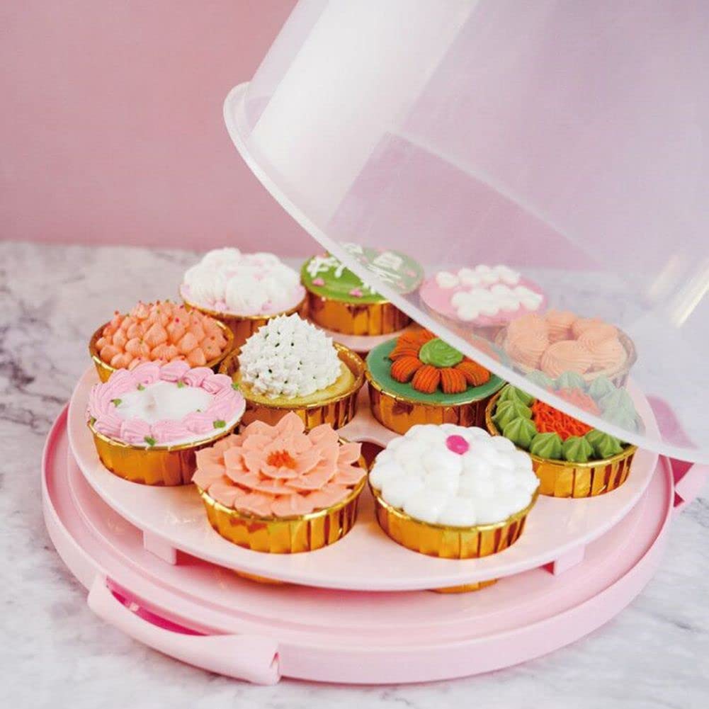 Cake Carrier Box - Transport Desserts & Cupcakes -5