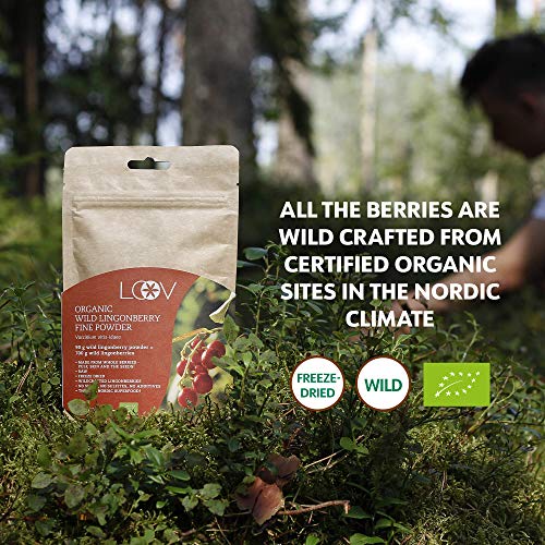 Rode bosbessen poeder, wild, biologisch, 100% heel fruit, wild geplukt uit Noord-Europese bossen, gaat 22 dagen lang mee… - Image 4