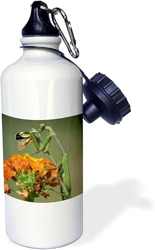 3dRose Botella de agua deportiva "Praying Mantis insect, Butterfly Presy, Texas NA02 RNU0228 Rolf Nussbaumer", 21 onzas, color blanco