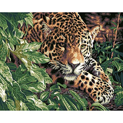 Peinture au diamant 5D léopard timide kit complet strass carrés et ronds pour broderie 30x40 cm