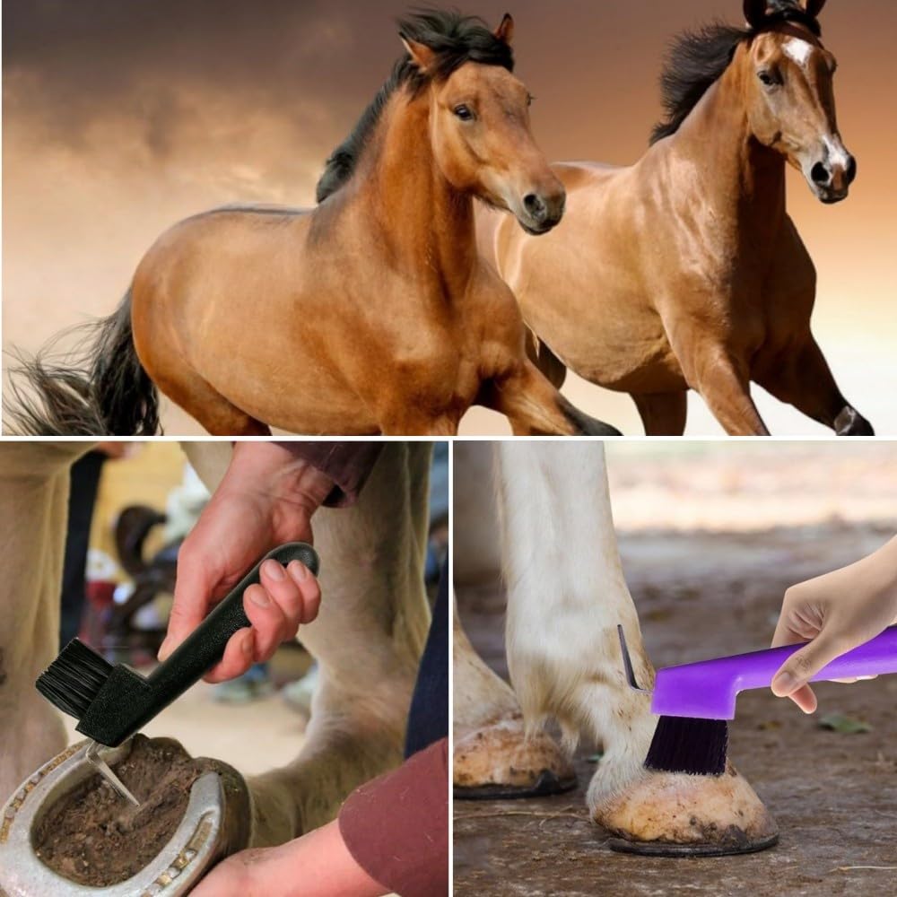 WizeFolk Raschietto per Zoccoli di Cavalli 3 Pezzi, Spazzola per Zoccoli Cavallo, Cura del Cavallo per Cavalli Capre e Asini