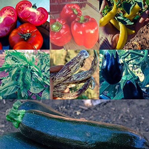Have one to Sell? Sell Now Summer Workhorses Vegetable Seed Collection: 7 Packets, Certified Oragnic NonGMO