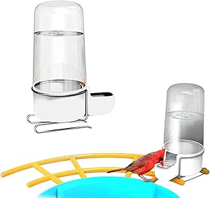 Bird Feeder with Camera Accessory, Water Bottle asin的图片