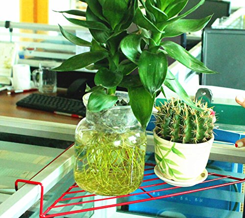 Fashionclubs Iron Wire Office Cubicle Sundries Corner Storage Shelf Rack,Balcony Corner Plant Caddy (Black)
