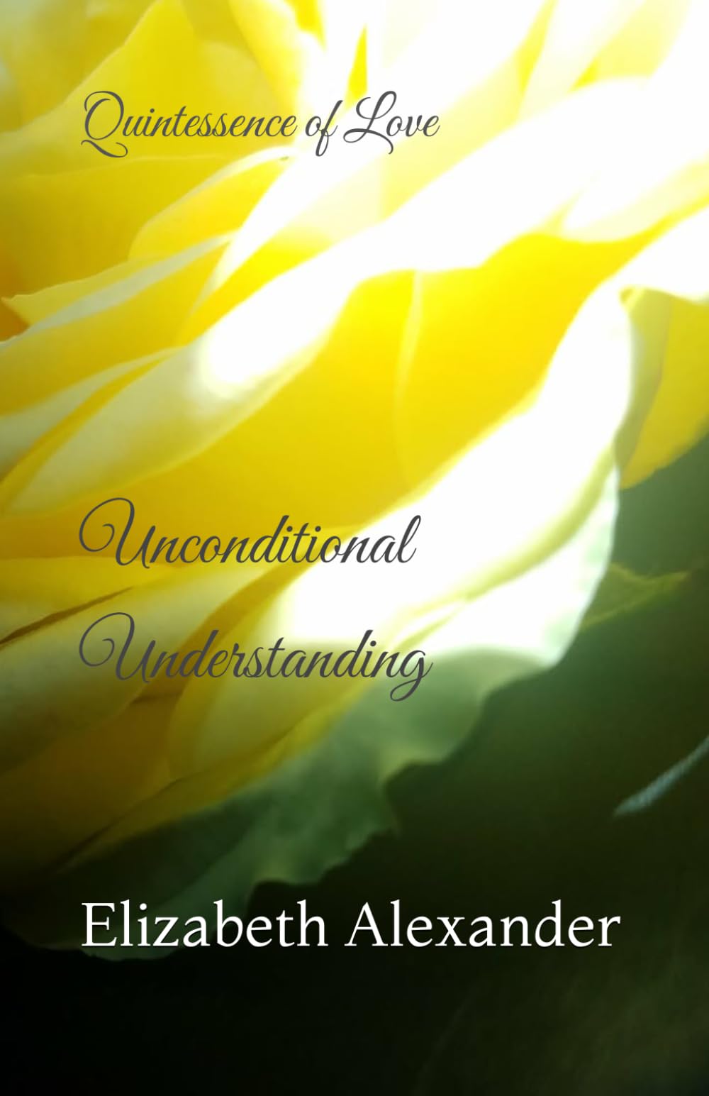 Unconditional Understanding: Quintessence of Love