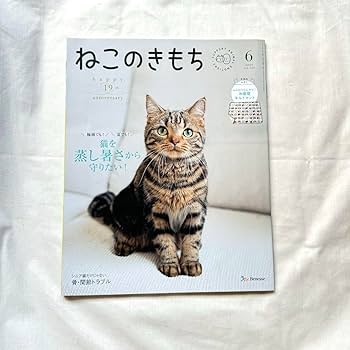 ねこのきもち 62冊 Amazon.co.jp: ねこのきもち 2024年5月号 & 6月号 : おもちゃ