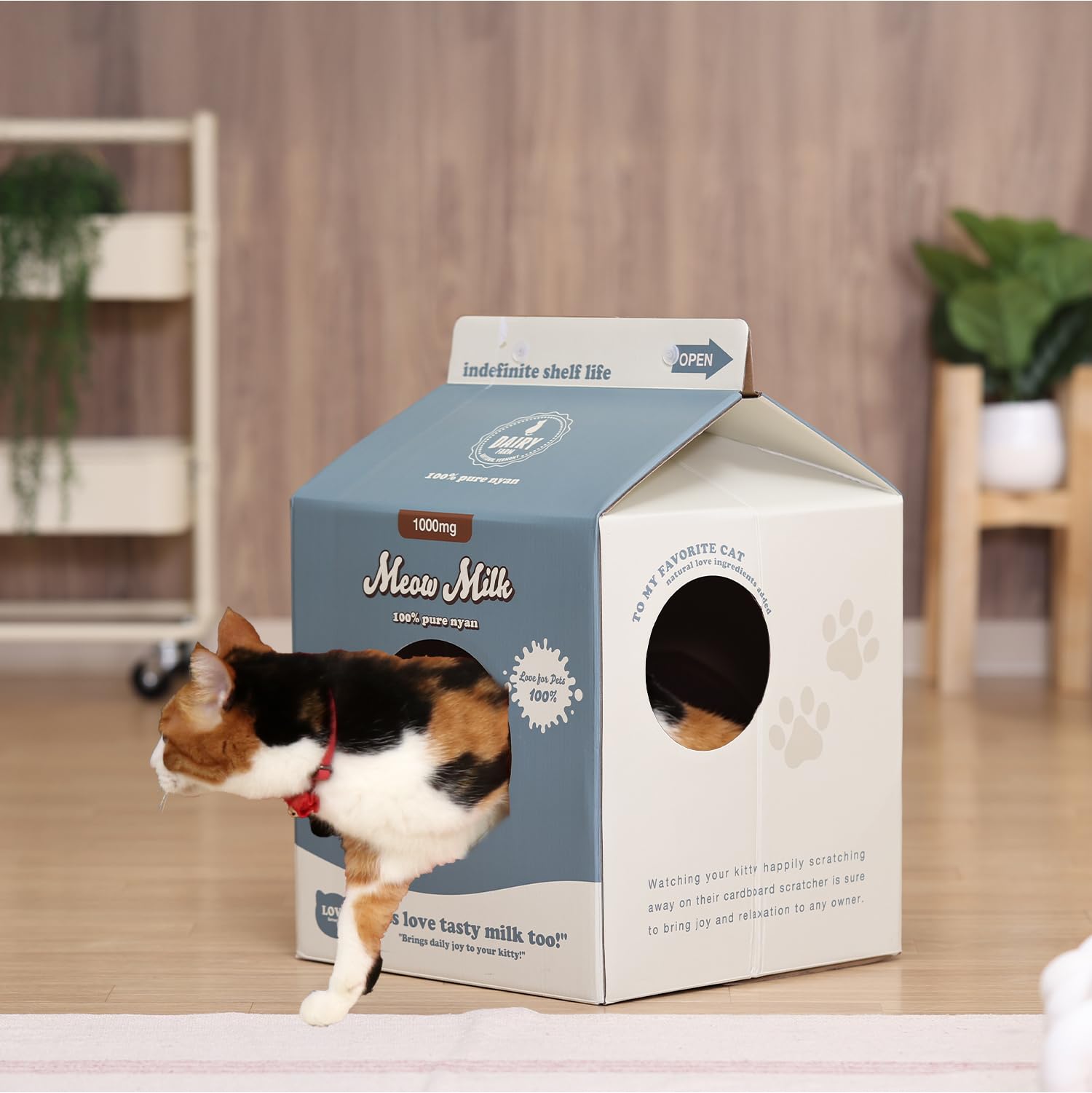 Amazon.co.jp: 不二貿易 猫 かわいい爪とぎハウス ダンボール