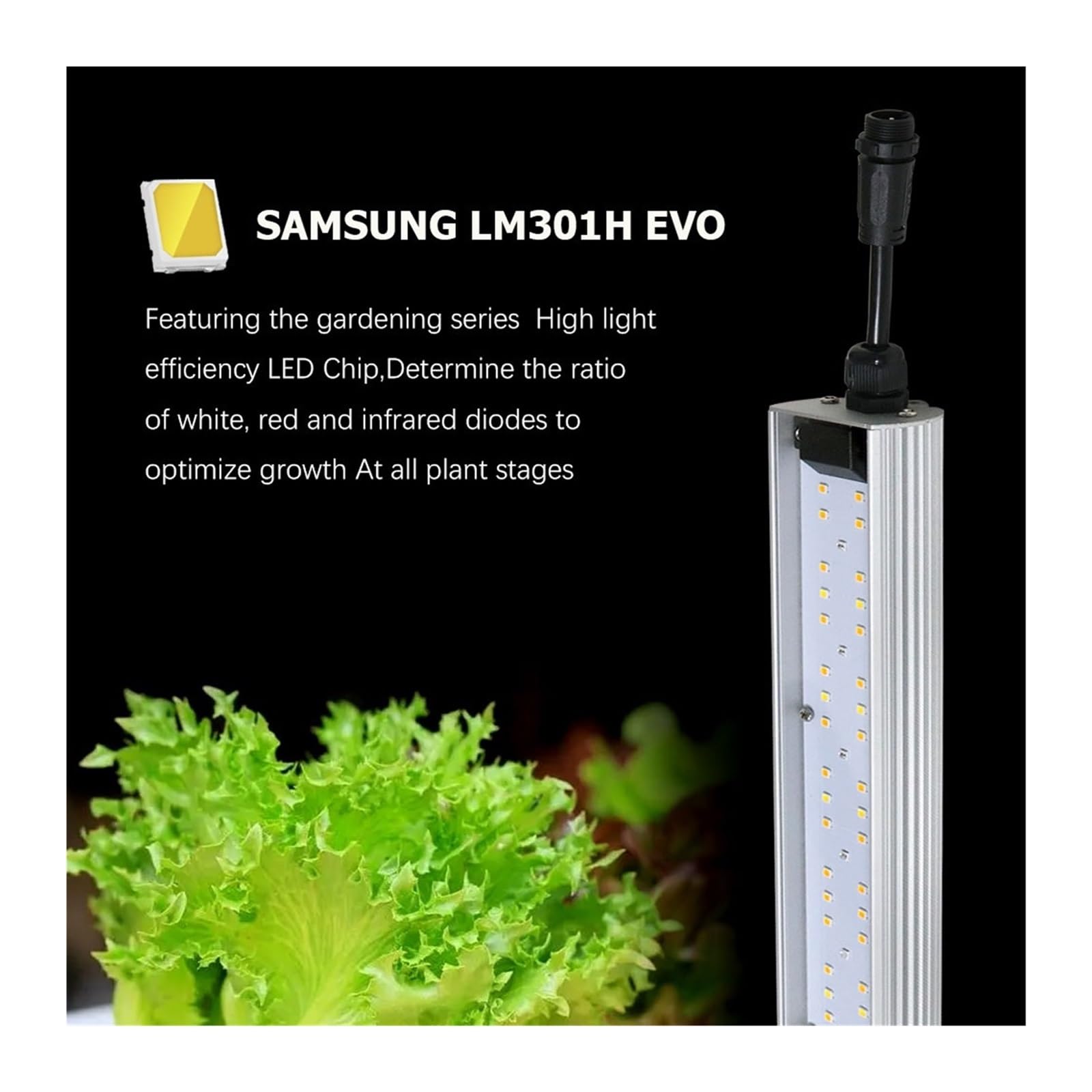 Samsung LM301H 240w 植物育成特化ライト Amazon | 植物育成ライト 240W 320W 480W 600W 1000W LM301H EVO