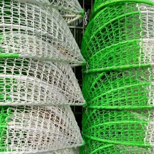 Rotin plat 8 mm de qualité supérieure pour tricot de paniers et vannerie de jardin 500g
