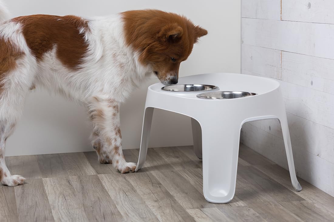 Knuffelwuff Highbar duży karmnik 2 x 3300 ml – miska dla psów podwyższona z antypoślizgowym silikonem – podwójna miska – miska do picia i miska na karmę dla dużych, średnich i małych psów