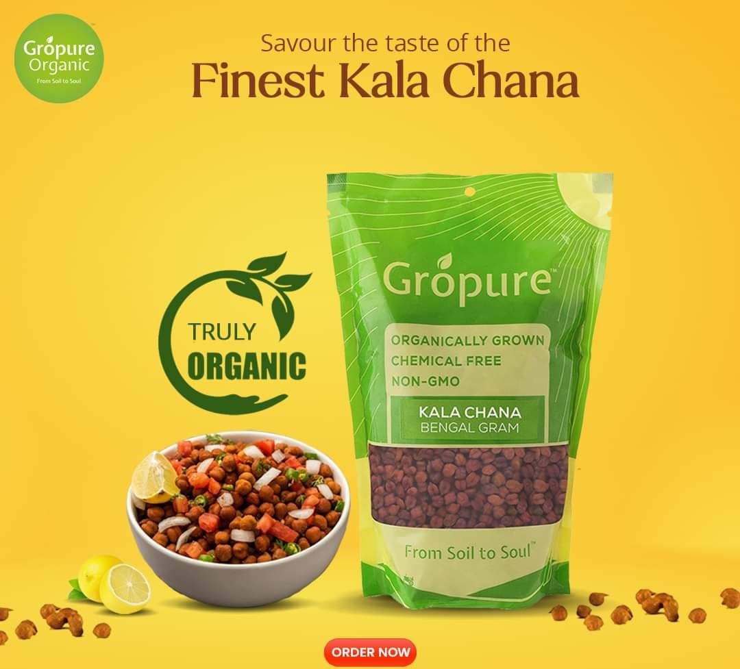GroPure Organic: From Soil to Soul - Kaala Chana - 450g I Whole Bengal Gram I Brown Bengal Gram I Chemical & Pesticide Free I Best Organic Kaala Chana I Best Organic PULSES