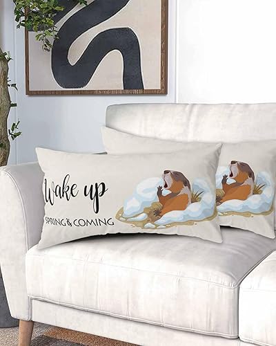 Miniatura 2 de Lindas fundas de almohada de marmota de dibujos animados tamaño King, fundas de almohada suaves para cama, fundas de almohada decorativas de lujo,
