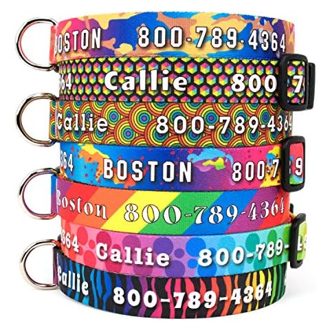 Buttonsmith Rainbow Custom Dog Collar - Made in The USA - Fadeproof Permanently Bonded Printing, Military Grade Rustproof Buckle, Choice of 6 Sizes Cover