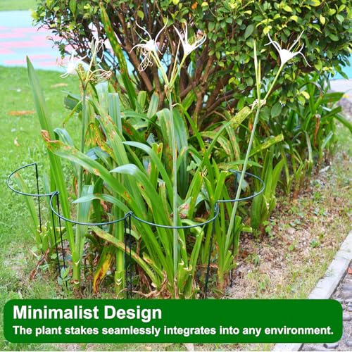 Oopaicnn HYJ-006 Plant Support Stakes, 6Pcs Peony Cages Supports Stakes For Indoor Plants, Plant Supports For Peony, Tomato, Hydrangea, Rose, Monstera. 10'W X 15.8'H Half-Round Metal Garden Stakes thumb #4