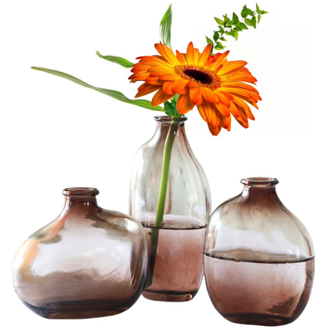 MEETOZ Glass Bud Vases Set of 3, Gradient Color Small Vases Made of Glass for Centerpieces Cute Vintage Rustic Wedding Decor, Home Table Flower Decor, for Office or Wedding Events (Brown)