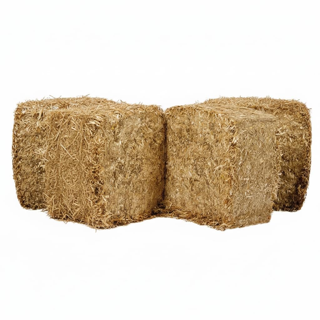 Lettiera in Paglia Bio 10 Kg per Polli, Cavalli, Galline, Asini, Puledri – Paglia Depolverata, Naturale, Assorbente, Ecologica, Termoisolante - Lettiera per Conigli