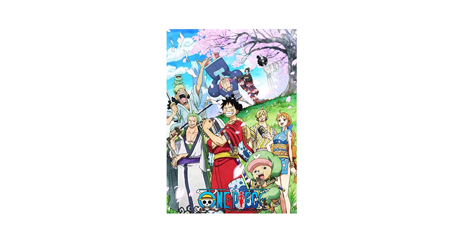 ONE PIECE ワンピース 20THシーズン ワノ国編 piece.4 DVD ONE PIECE ワンピース 20THシーズン ワノ国編 piece.4（DVD