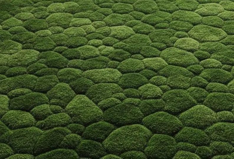 Green Moss Pebble Area Rug 10x14 ft (120x168 inch), 3D Textured Handmade Tufted Wool Carpet, Soft Thick Plush Modern Designer Rug for Living Room Bedroom Home Décor