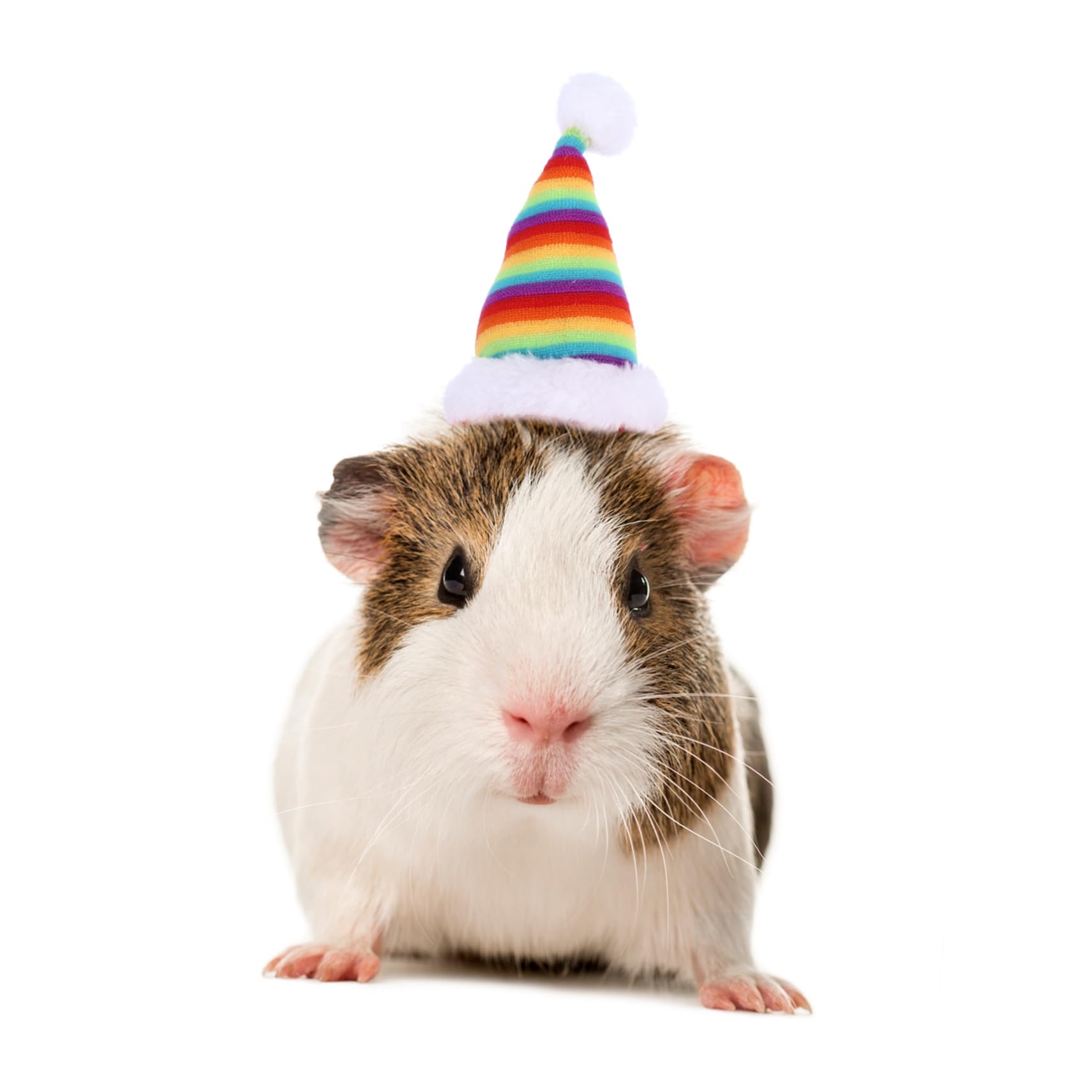 SUPVOX 2pièces Chapeau de Noël Décoratif pour Hamster et Cochon Chapeaux pour Lapin Accessoire de Fête