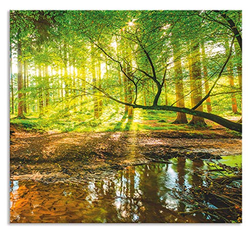 ARTland Spritzschutz Küchenrückwand aus Alu für Küche Herd Spüle 60x55 cm (BxH) mit Motiv Natur Landschaft Wald Bäume Sonne Bach Landhaus Grün T9IO