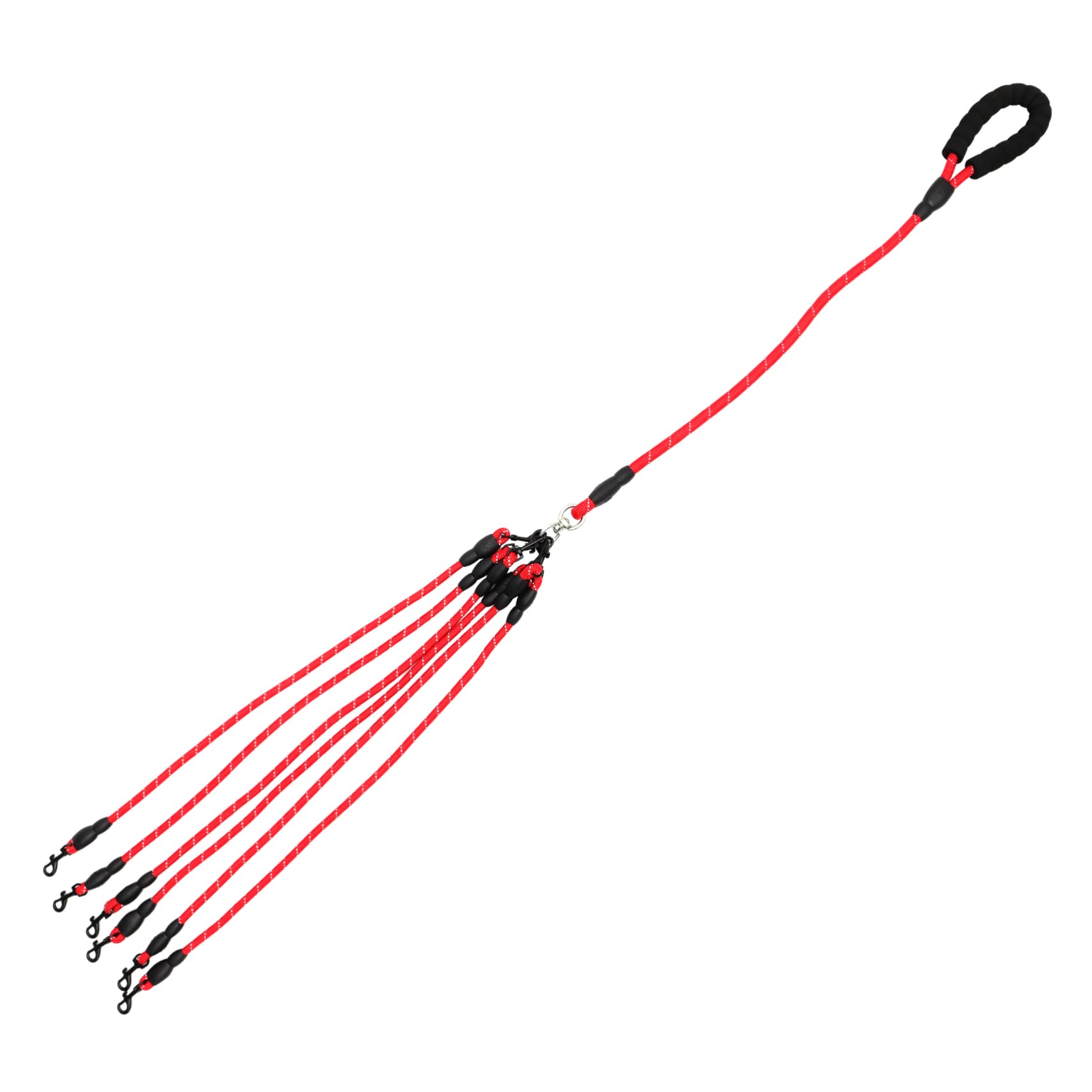 Laisse pour chien ERINGOGO anti traction pour éduquer sans effort les petits animaux