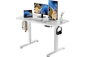 Ergonomic White Electric Rising Desk 48 x 24 Stay Active Home Office