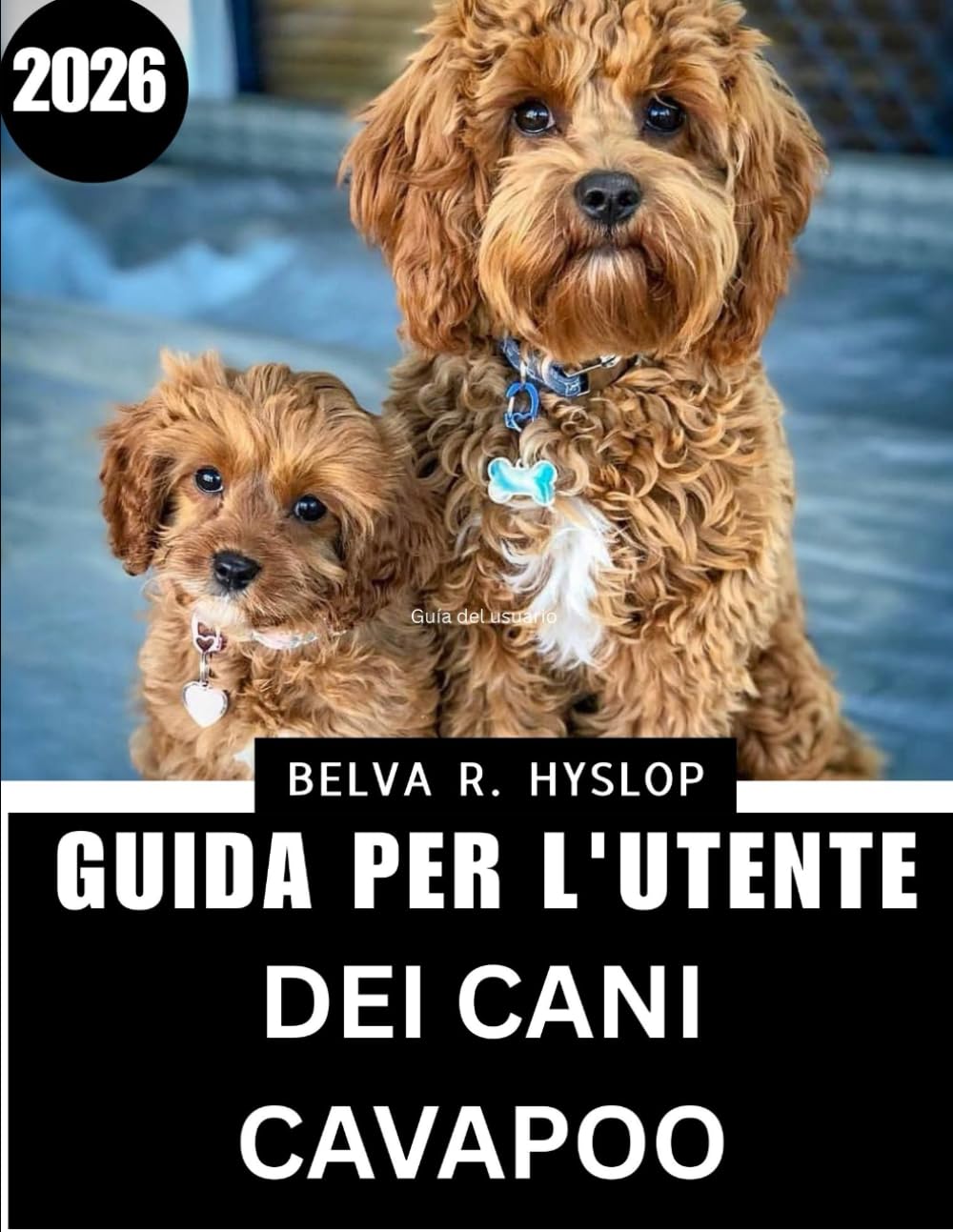 Guida per l'utente dei cani Cavapoo2026: Routine di cura passo dopo passo per un compagno felice e sano