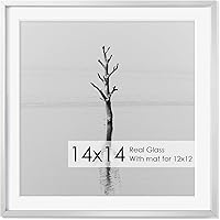 Vista 486 de Fun Memories Portarretratos de metal de 16 x 20 pulgadas con paspartú de 11 x 14 pulgadas, acabado de aluminio cepillado, parte delantera de vidrio