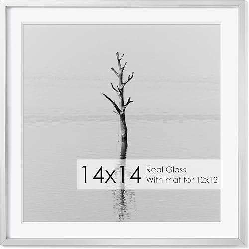 Miniatura 486 de Fun Memories Portarretratos de metal de 16 x 20 pulgadas con paspartú de 11 x 14 pulgadas, acabado de aluminio cepillado, parte delantera de vidrio