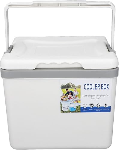 Enfriador aislado, enfriador duro portátil de 6 litros para campamento, portón trasero, playa, picnic, comestibles, almuerzo y más